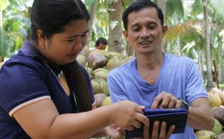 people looking at fruit