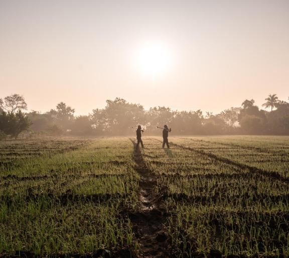 people walking in rural field