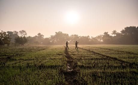 people walking in rural field