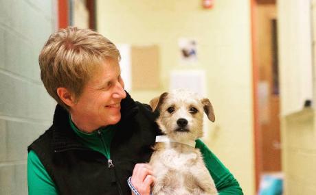 person holding dog