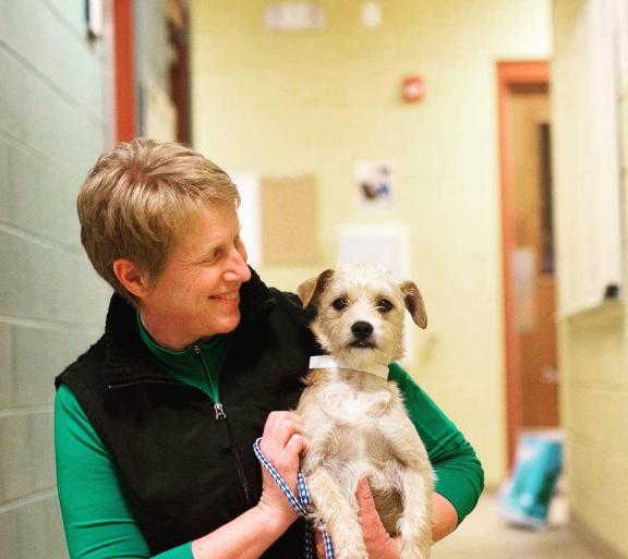 person holding dog